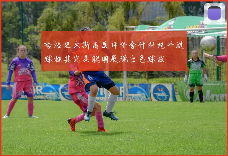 哈格里夫斯高度评价舍什科绝平进球称其完美聪明展现出色球技
