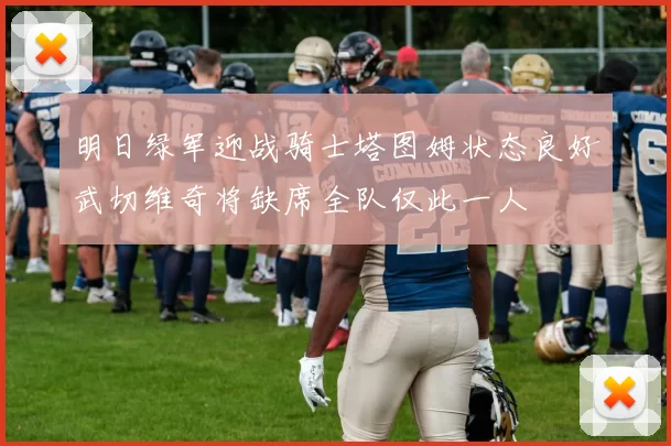 明日绿军迎战骑士塔图姆状态良好武切维奇将缺席全队仅此一人